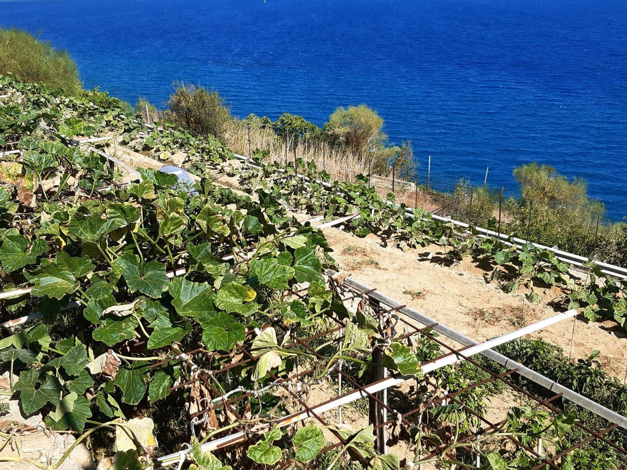 Ferienwohnung Gli Orti Sul Mare 2 Vista Mare Bordighera Exterior foto