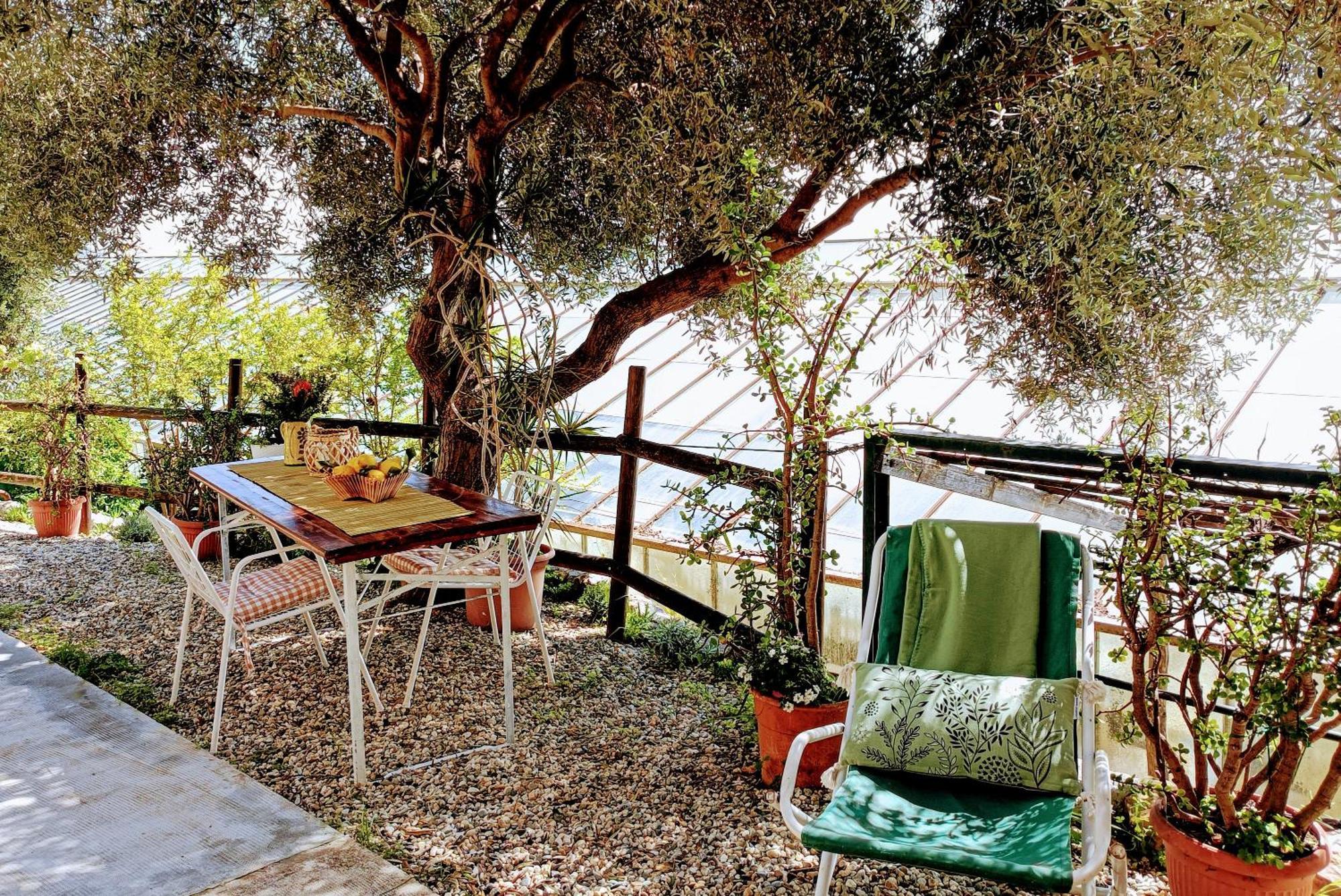 Ferienwohnung Gli Orti Sul Mare 2 Vista Mare Bordighera Exterior foto